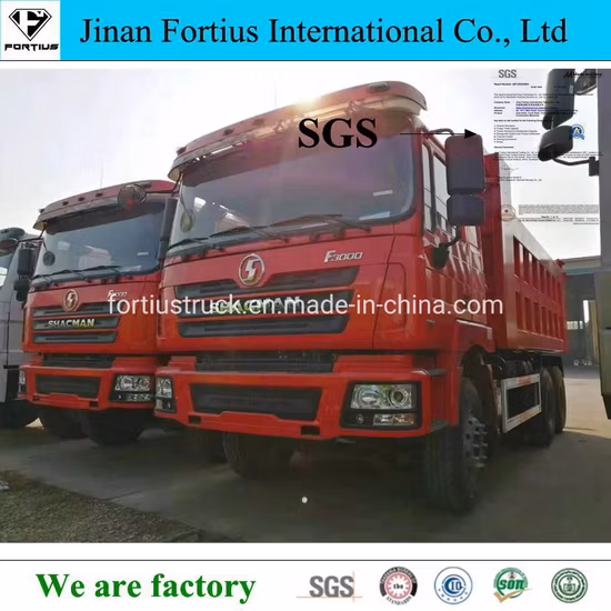 Sino Sinotruck a utilisé des camions HOWO/Shacman nouveau utilisé 8X4 6X4 10 roues 12 roues Dump/Dumper/Dumping/Benne/Camion basculant pour 30t
