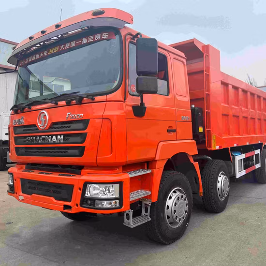 Chine 2020 année Sinotruck HOWO Dayun Shacman 8X4 12 roues 371HP 375HP 425HP camion à benne basculante utilisé camion d'occasion pour les mines, la construction, le transport, les quais